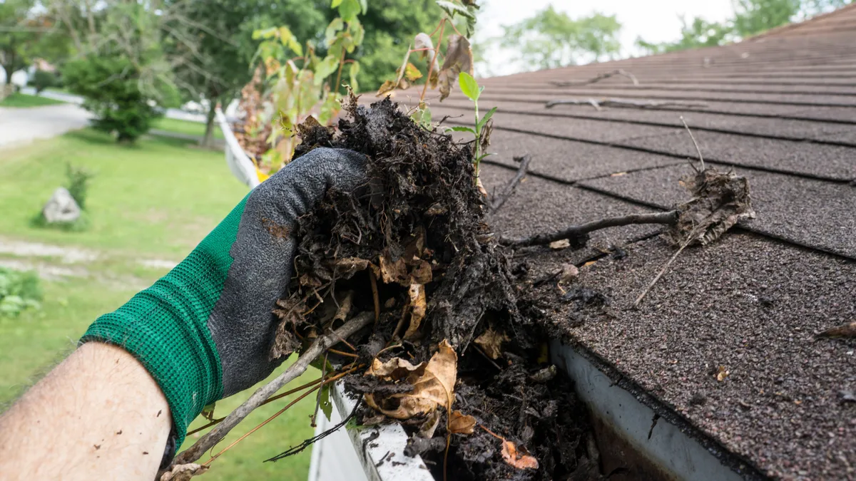 Professional gutter cleaning in progress
